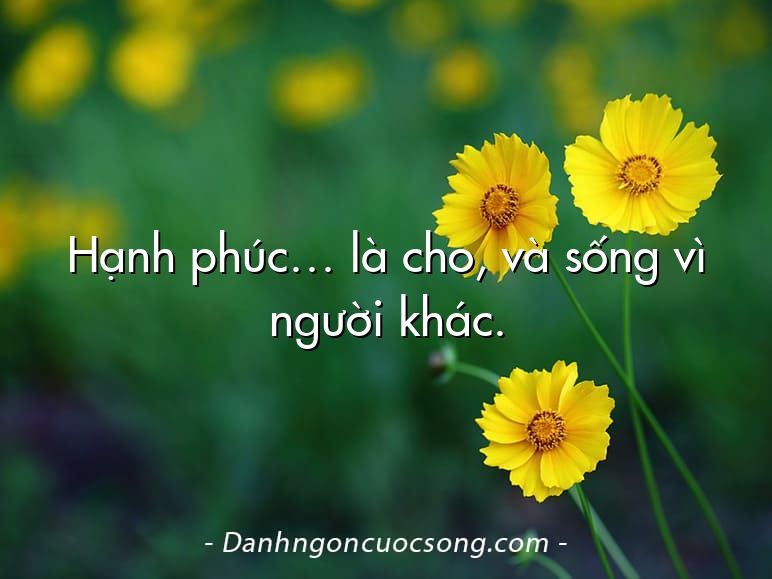 Danh ngôn cuộc sống ý nghĩa giúp bạn vững tin hơn  